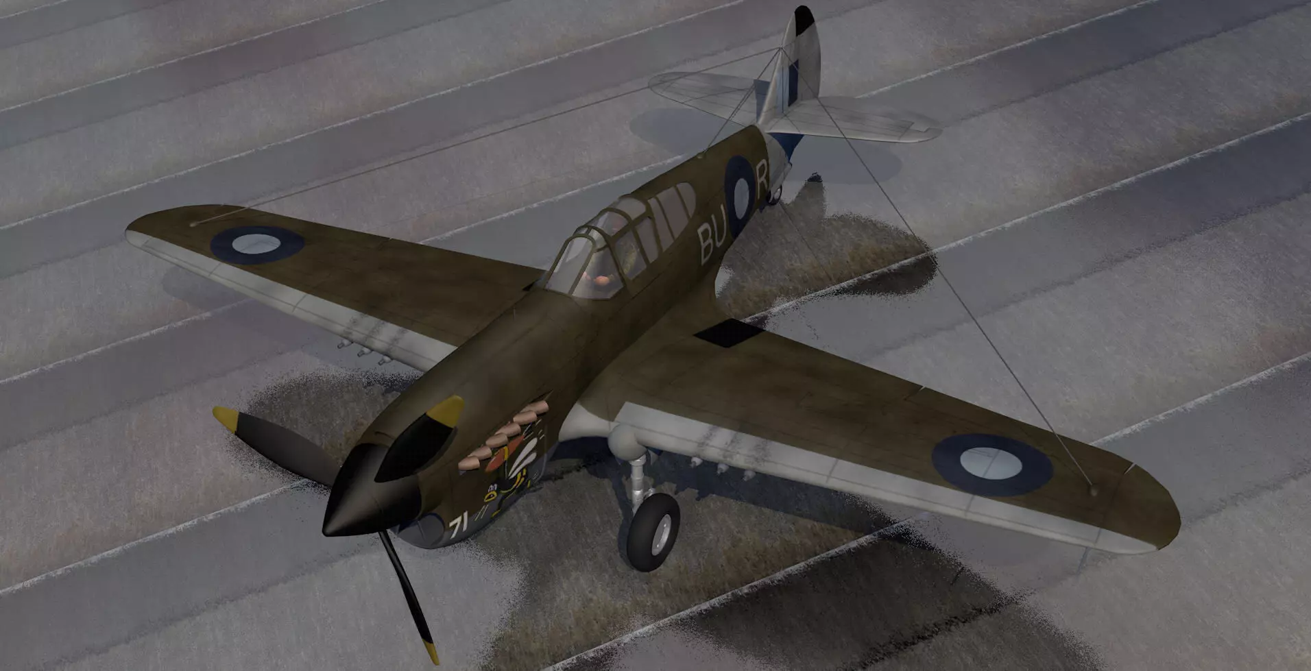 Curtiss Kittyhawk - RAAF 3D model_0