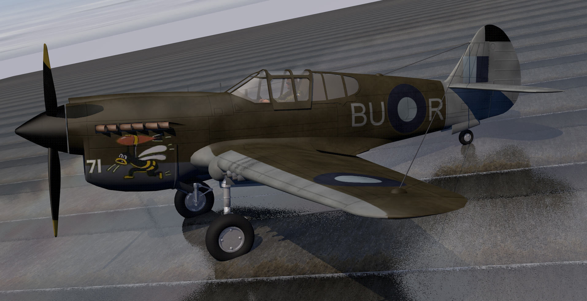 Curtiss Kittyhawk - RAAF 3D model_7