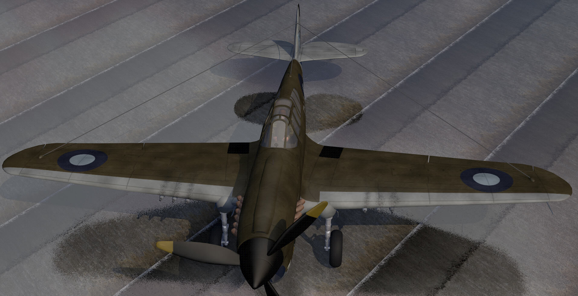 Curtiss Kittyhawk - RAAF 3D model_6