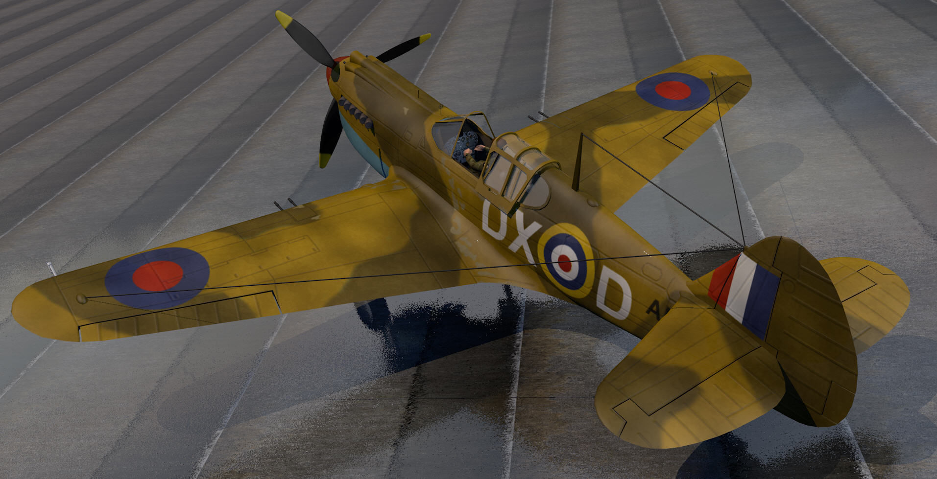 Curtiss Tomahawk - RSAAF 3D model_1