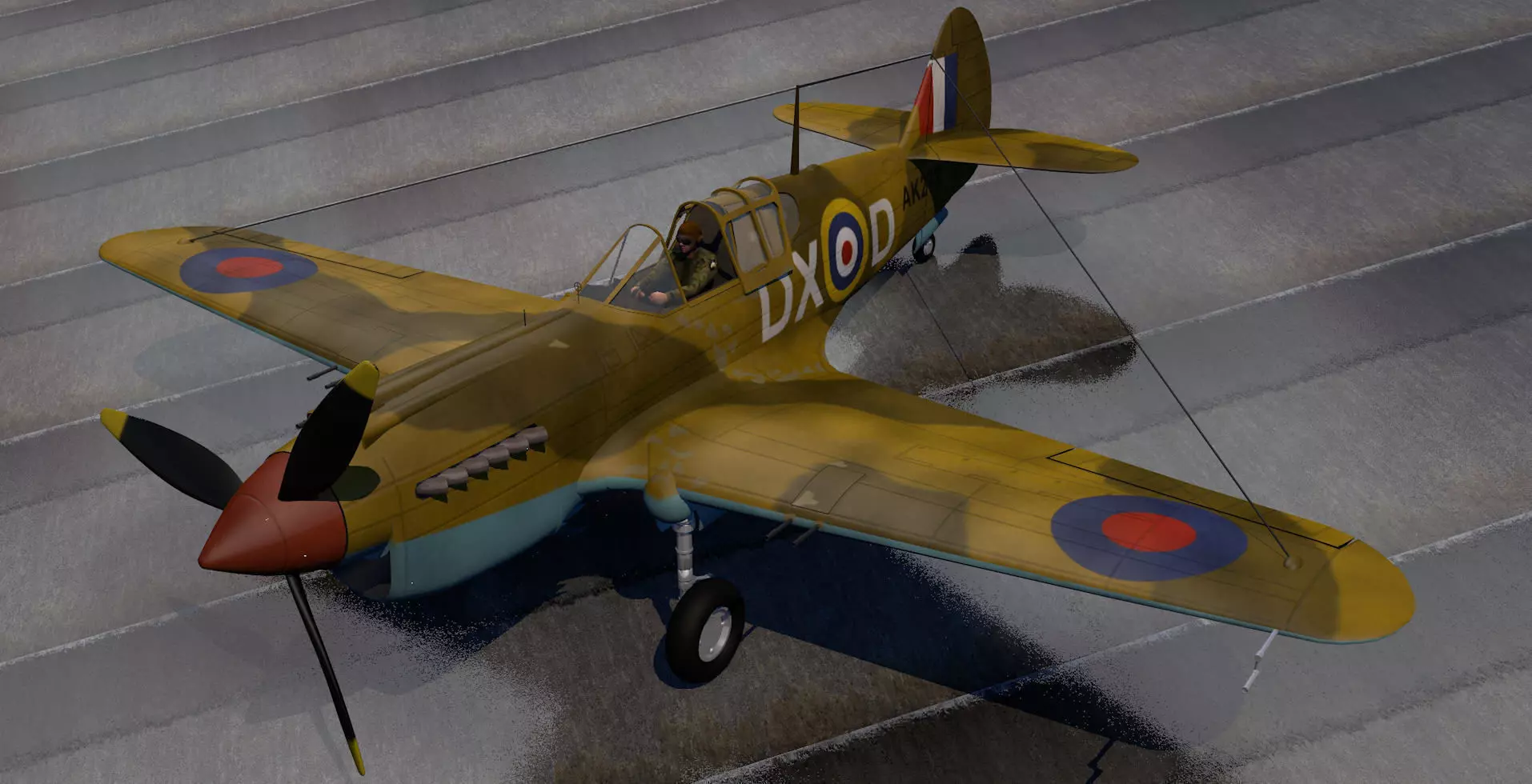 Curtiss Tomahawk - RSAAF 3D model_0