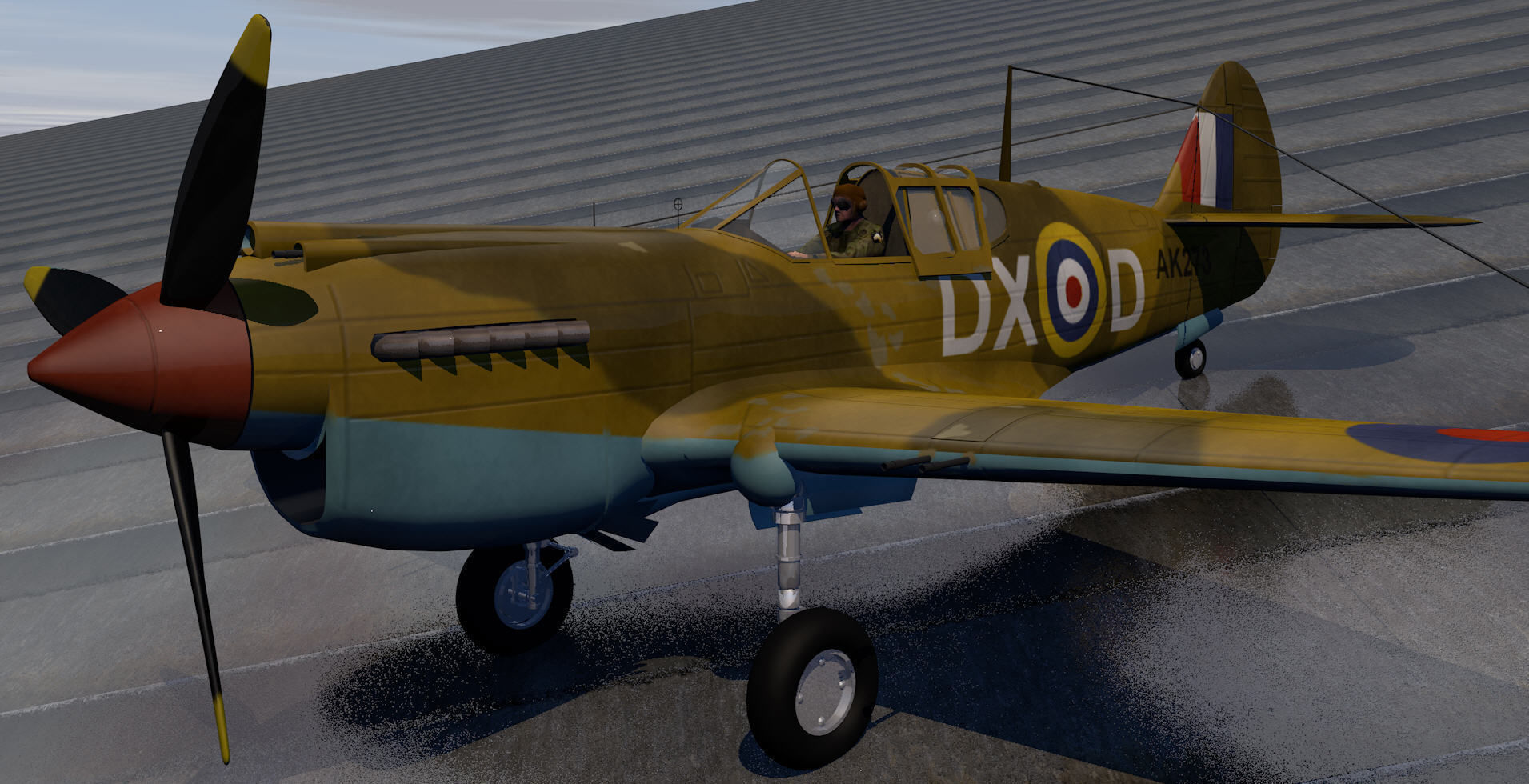 Curtiss Tomahawk - RSAAF 3D model_2