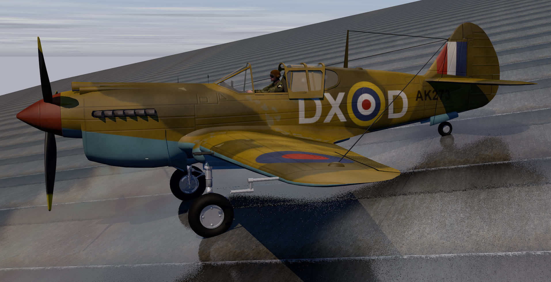 Curtiss Tomahawk - RSAAF 3D model_6