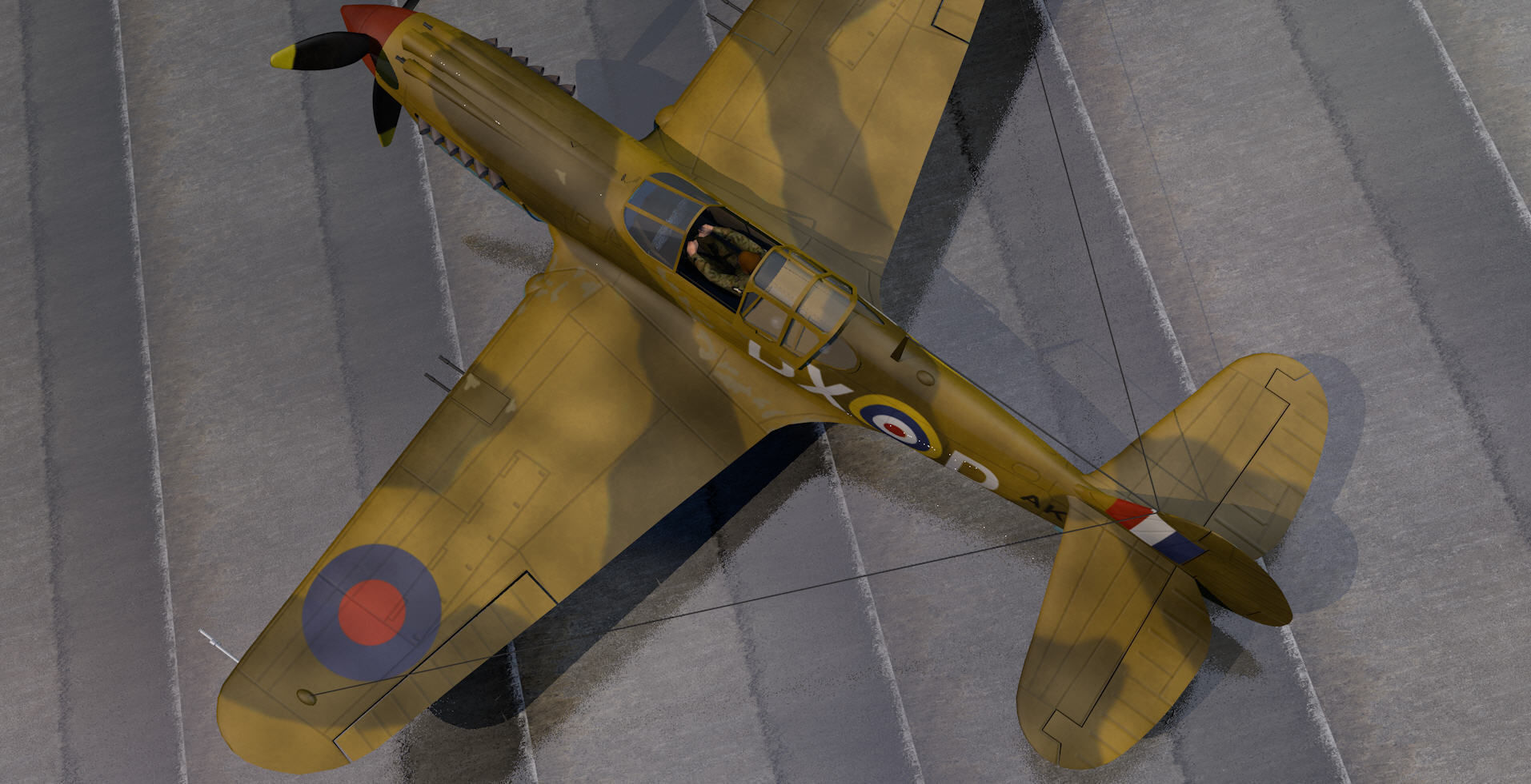 Curtiss Tomahawk - RSAAF 3D model_3