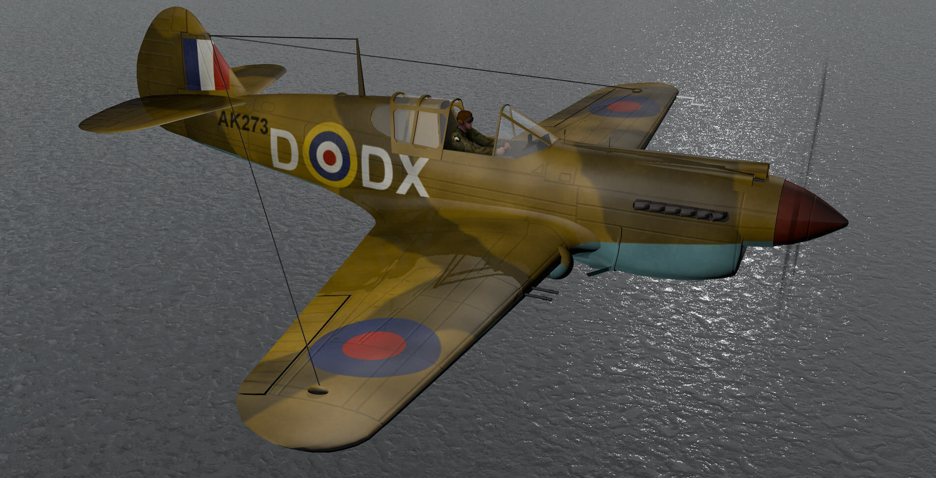 Curtiss Tomahawk - RSAAF 3D model_8