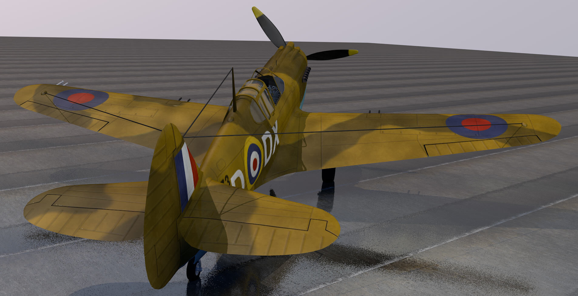Curtiss Tomahawk - RSAAF 3D model_4