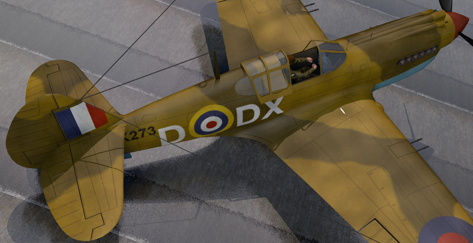 Curtiss Tomahawk - RSAAF 3D model_7