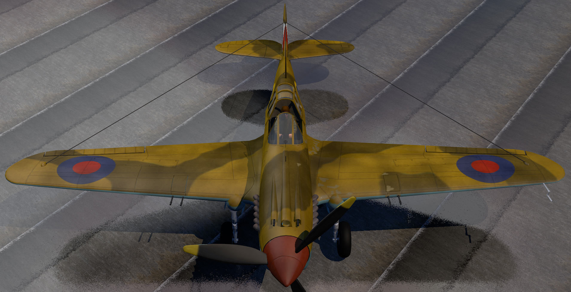 Curtiss Tomahawk - RSAAF 3D model_5