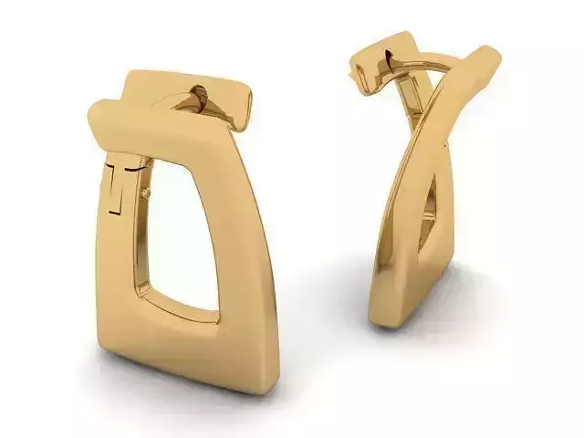 Earrings gold hoop