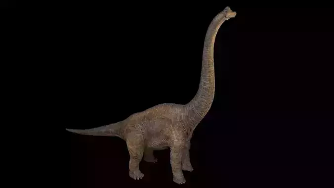 Brachiosaurus dinosaur Low-poly 3D model