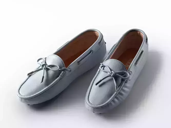 Gommino Driving Shoes in Leather