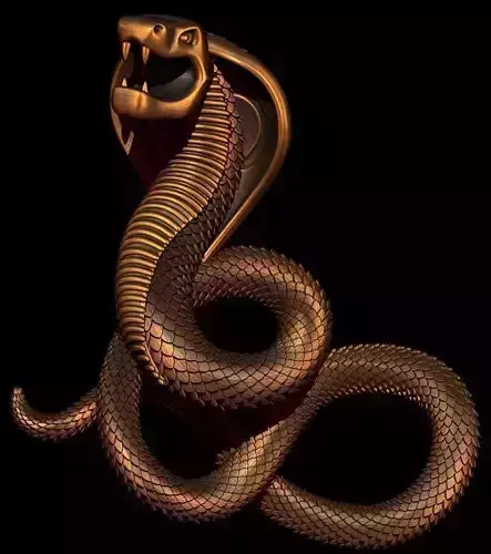 Cobra Non-uniform rational B-spline NURBS 3D print model