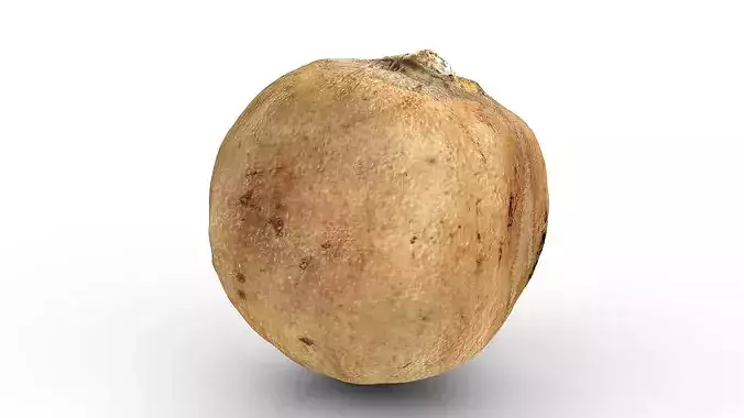 Rotten Cracked Pomegranate Fruit 3D model 6