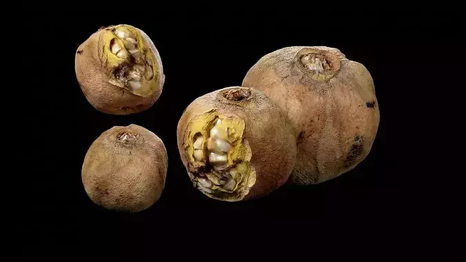 Rotten Cracked Pomegranate Fruit 3D model