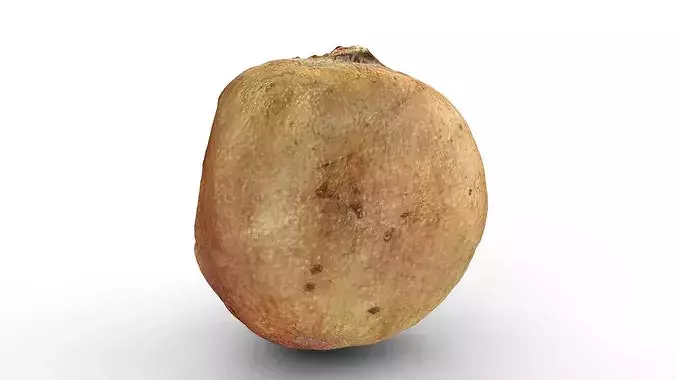 Rotten Cracked Pomegranate Fruit 3D model 5