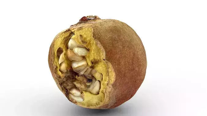 Rotten Cracked Pomegranate Fruit 3D model 3