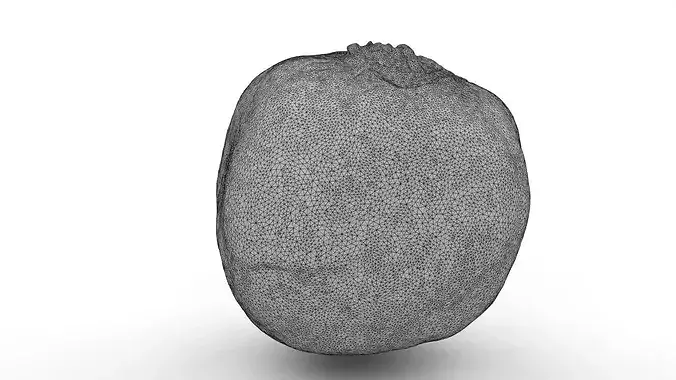 Rotten Cracked Pomegranate Fruit 3D model 7