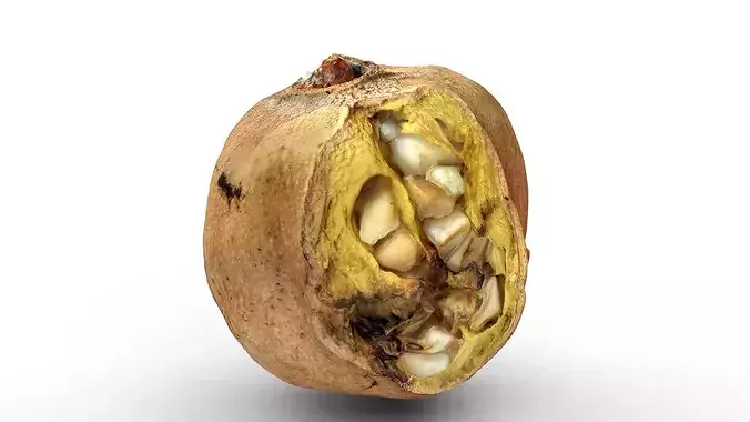 Rotten Cracked Pomegranate Fruit 3D model 2