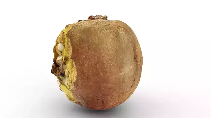 Rotten Cracked Pomegranate Fruit 3D model 4