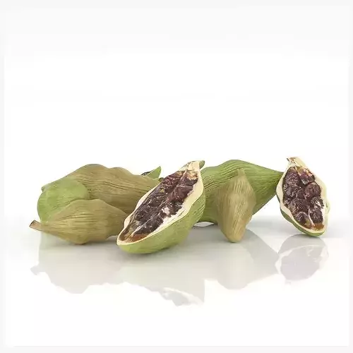 Cardamom pods tea spice advertising aroma Low-poly 3D model 2