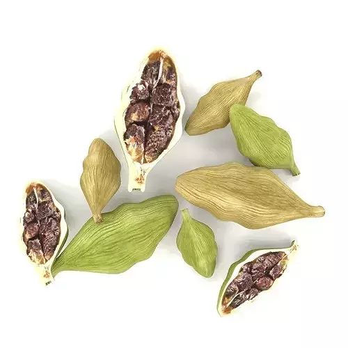 Cardamom pods tea spice advertising aroma Low-poly 3D model 7