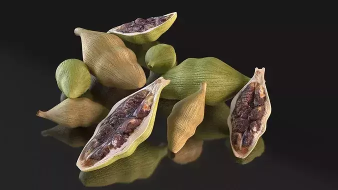 Cardamom pods tea spice advertising aroma Low-poly 3D model 5