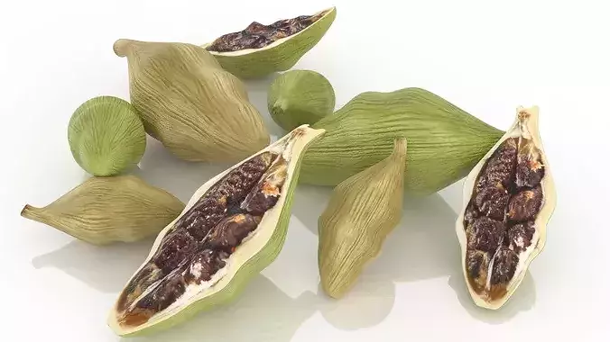 Cardamom pods tea spice advertising aroma Low-poly 3D model 4
