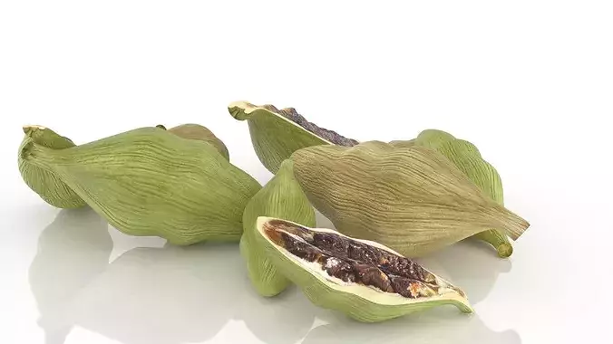 Cardamom pods tea spice advertising aroma Low-poly 3D model 6