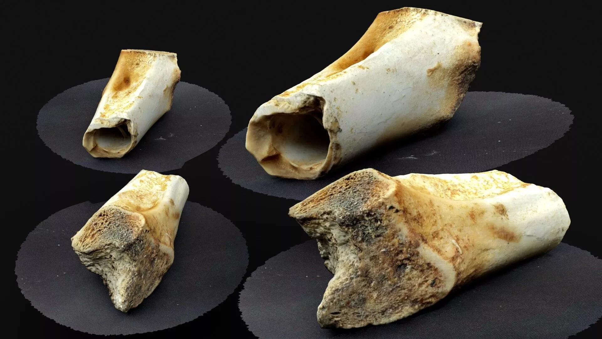 Marrow Bone Fragment 3D model