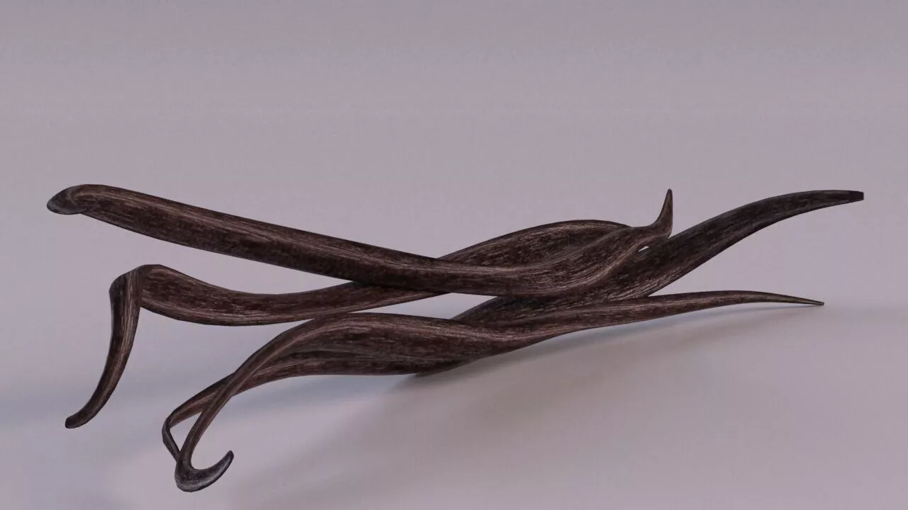 Vanilla spice pod realistic Low-poly 3D model