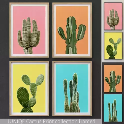JUNIQE Cactus Print collection framed