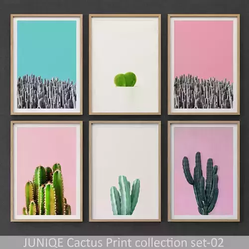 Cactus Print collection framed set-02