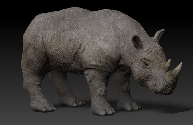 Rigged Rhino Low-poly 3D model