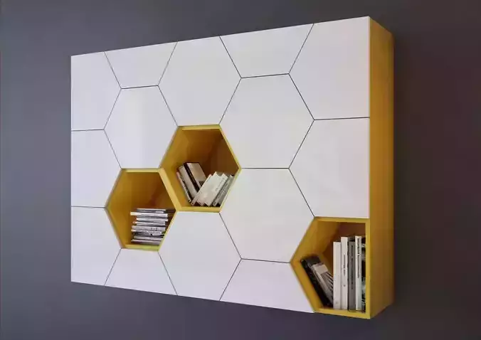 The contemporary  bookcase with hexagonal doors 3D model