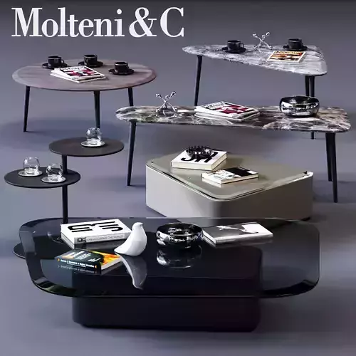 MolteniC Coffee Table Set 