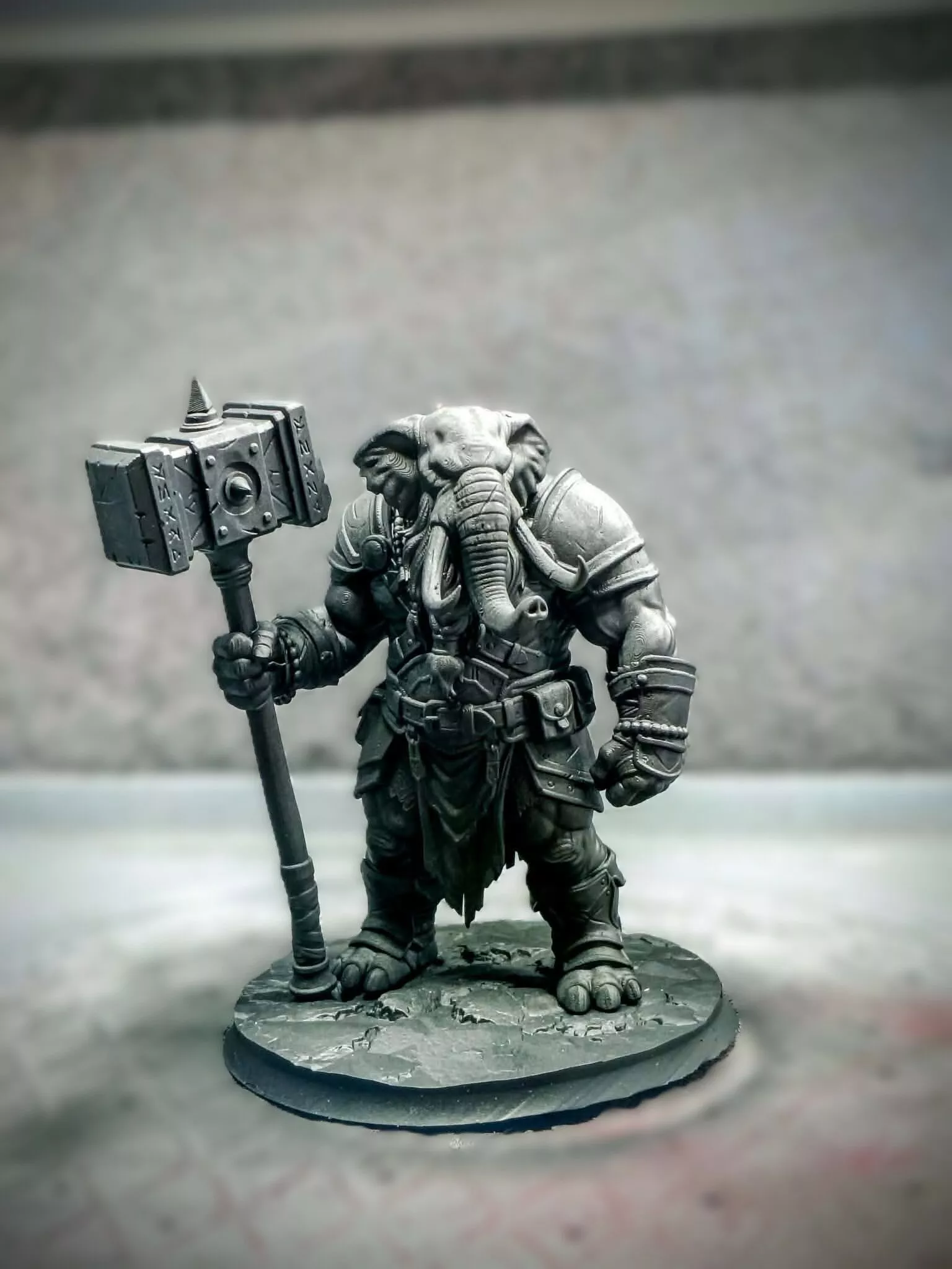 Elephant Warrior 3D print model