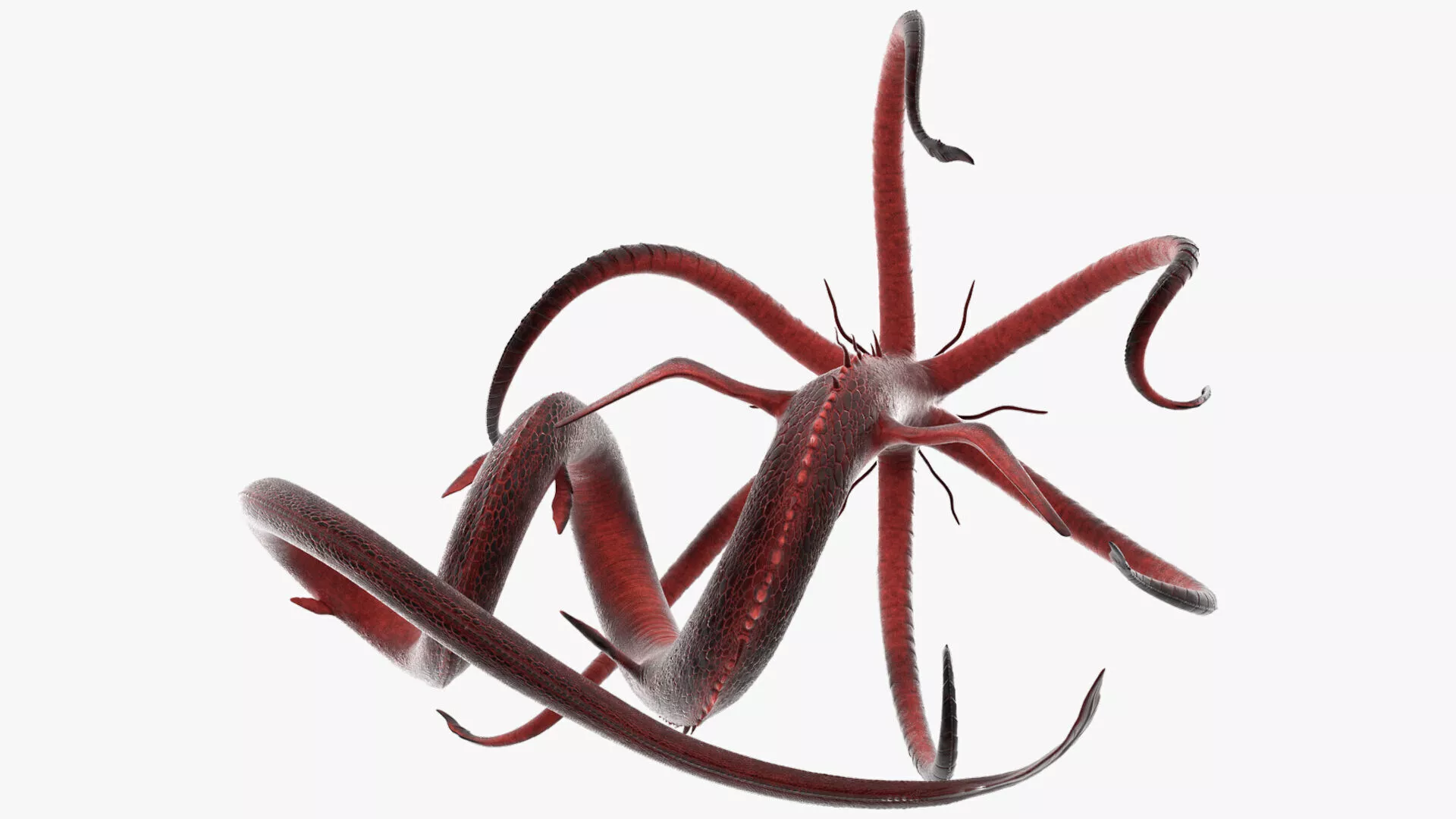 Alien Aquatic Predator with Limbs Red Rigged for Cinema 4D 3D model