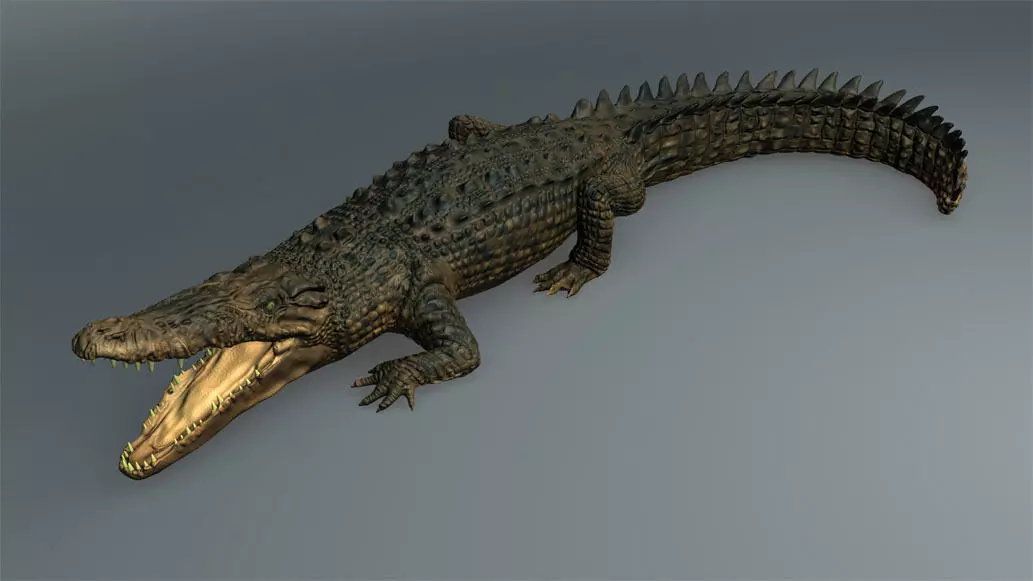 Salt Water Crocodile - Owen moloney 3D model_0