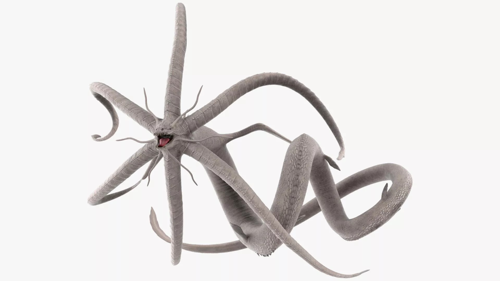 Deep Sea Monster with Radial Limbs White Rigged for Cinema 4D 3D model