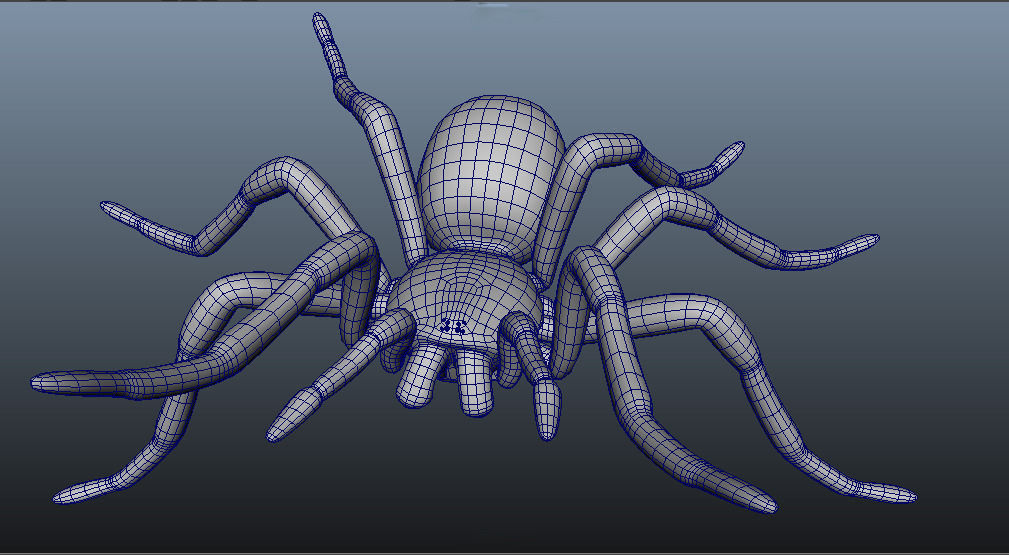 Goliath Bird Eating Spider - Owen Moloney Low-poly 3D model_2