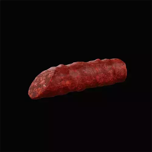 Chorizo Dried 3D model 6