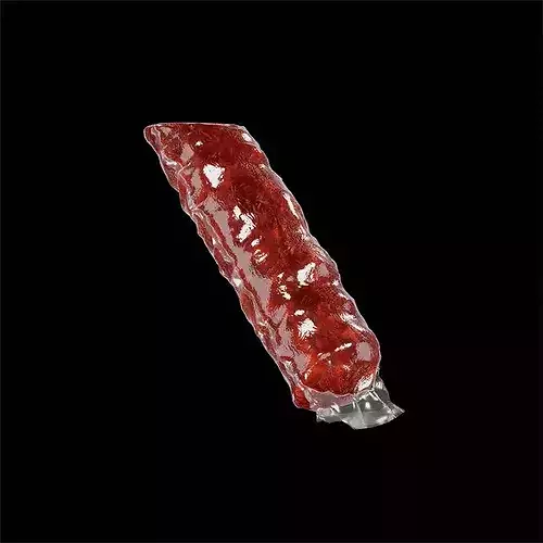 Chorizo Dried 3D model 5