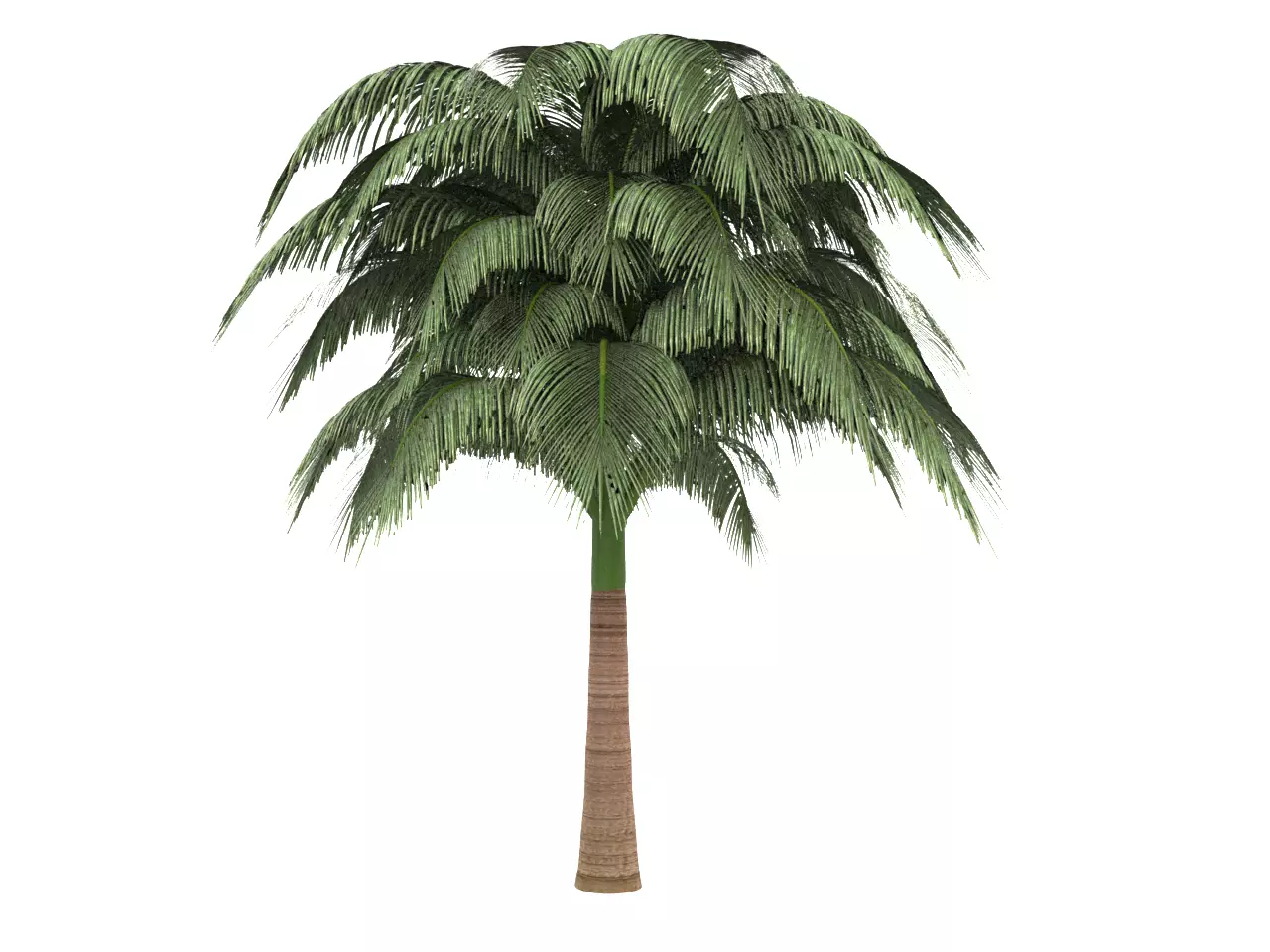 NMA Tree 002-3 Low-poly 3D model