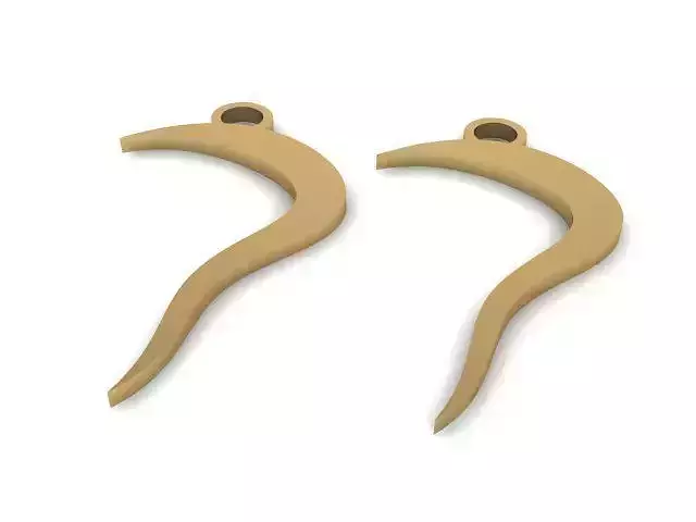 Earrings earring hooks -