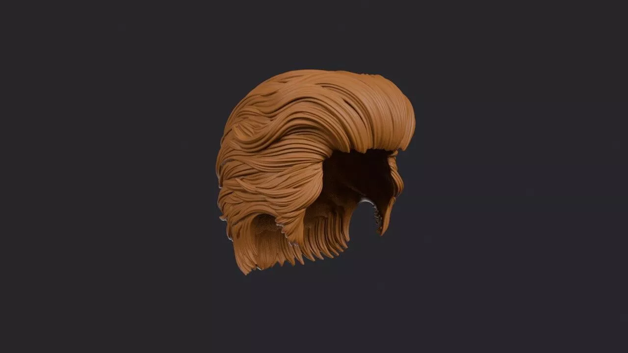 Wet Look Wig 3D print model