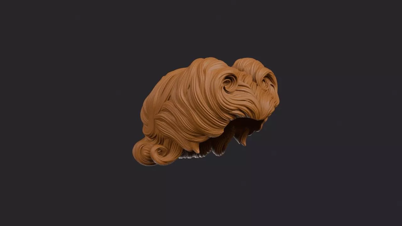 Victory Rolls Hairstyle 3D print model