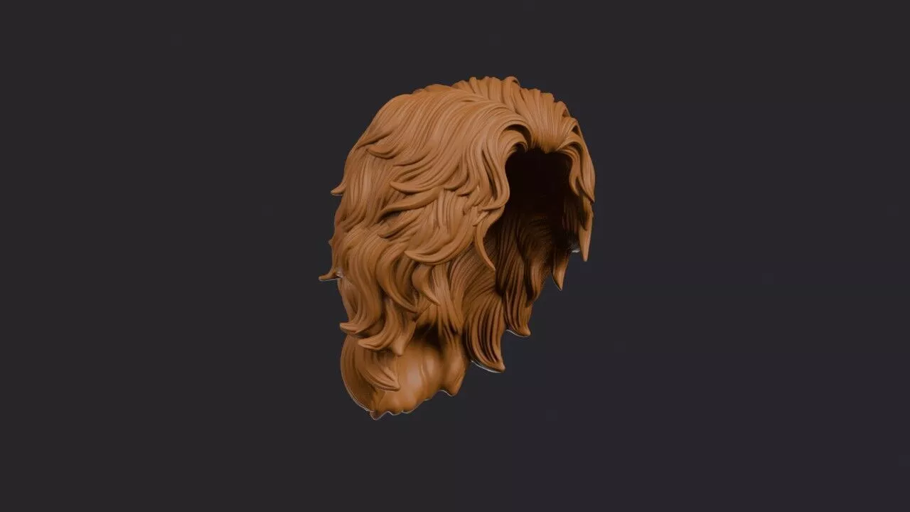 Surfer Hair Wig 3D print model