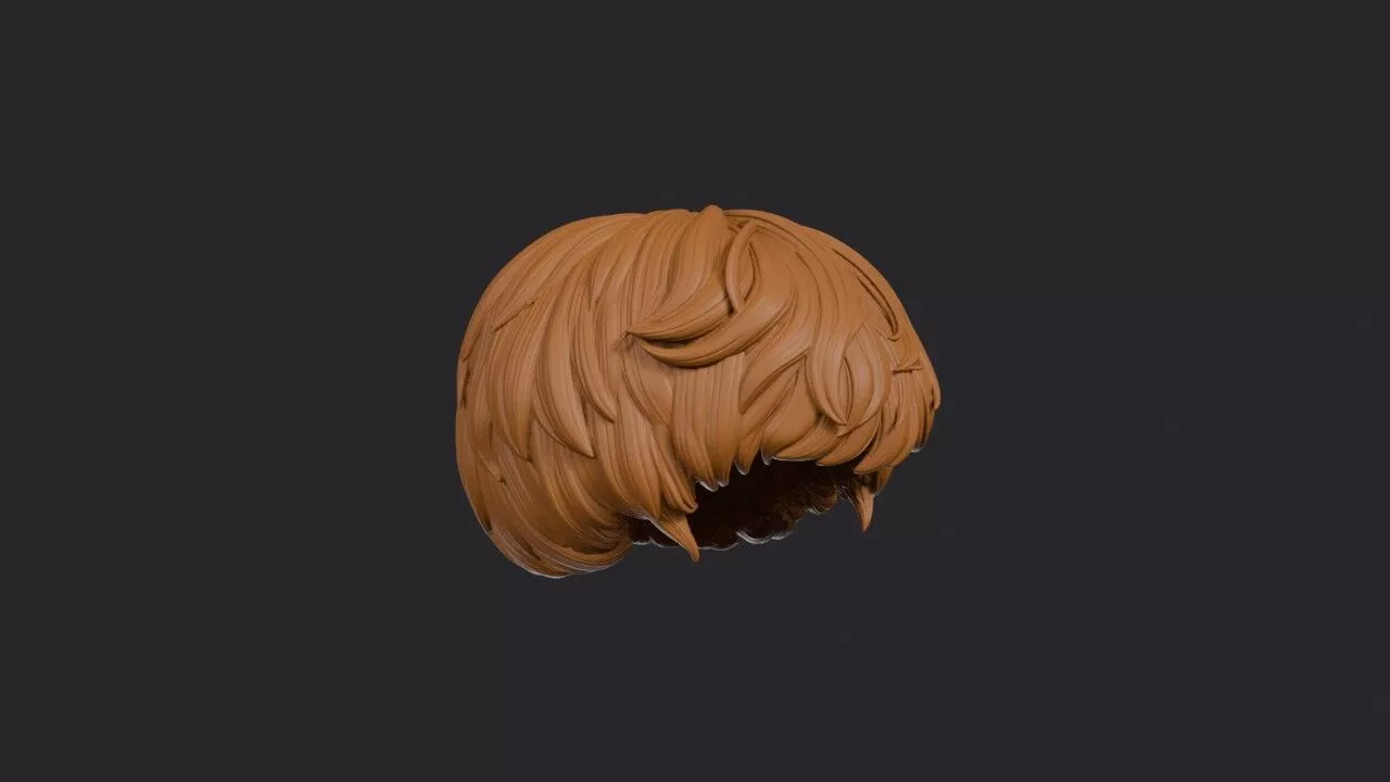 Mop Top Hairstyle 3D print model