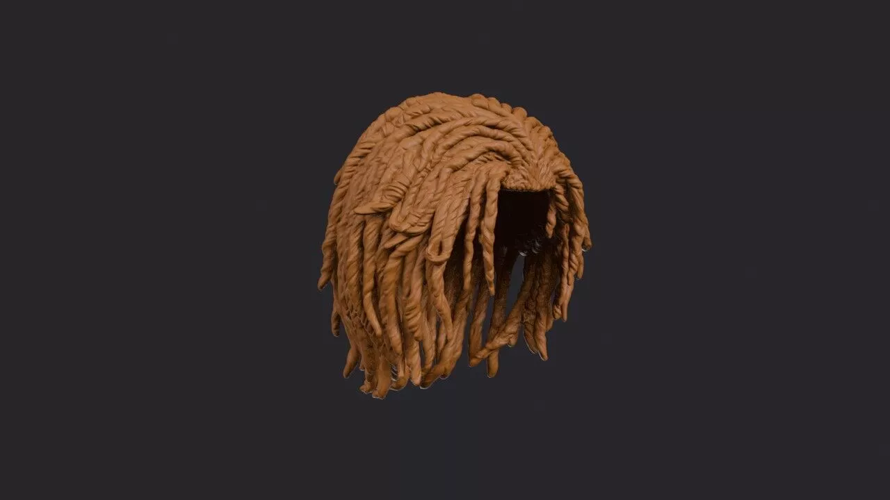 Locs Wig 3D print model