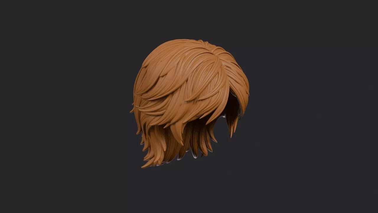 Layered Cut Hairstyle 3D print model